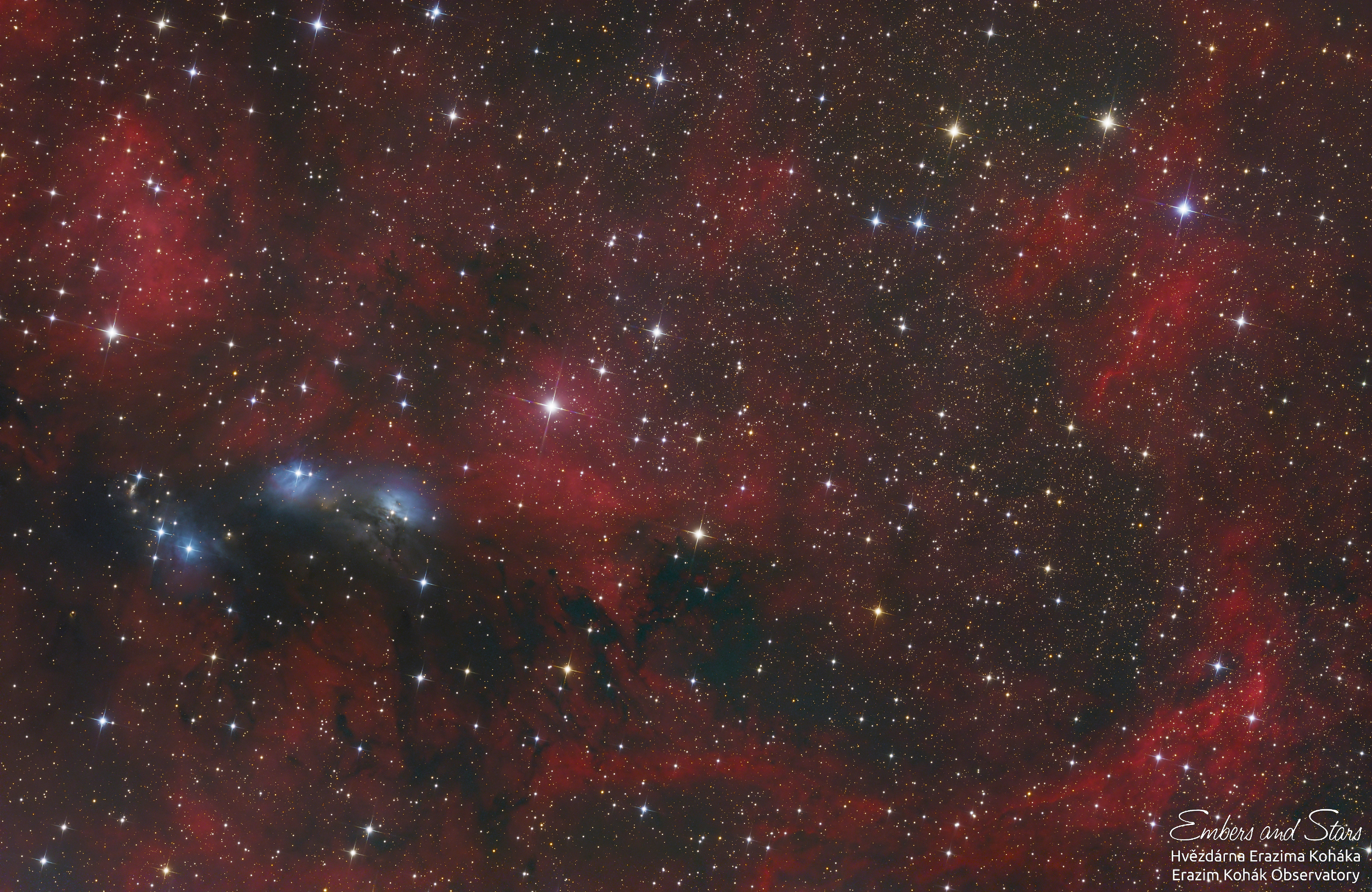 Nebulae in Swan