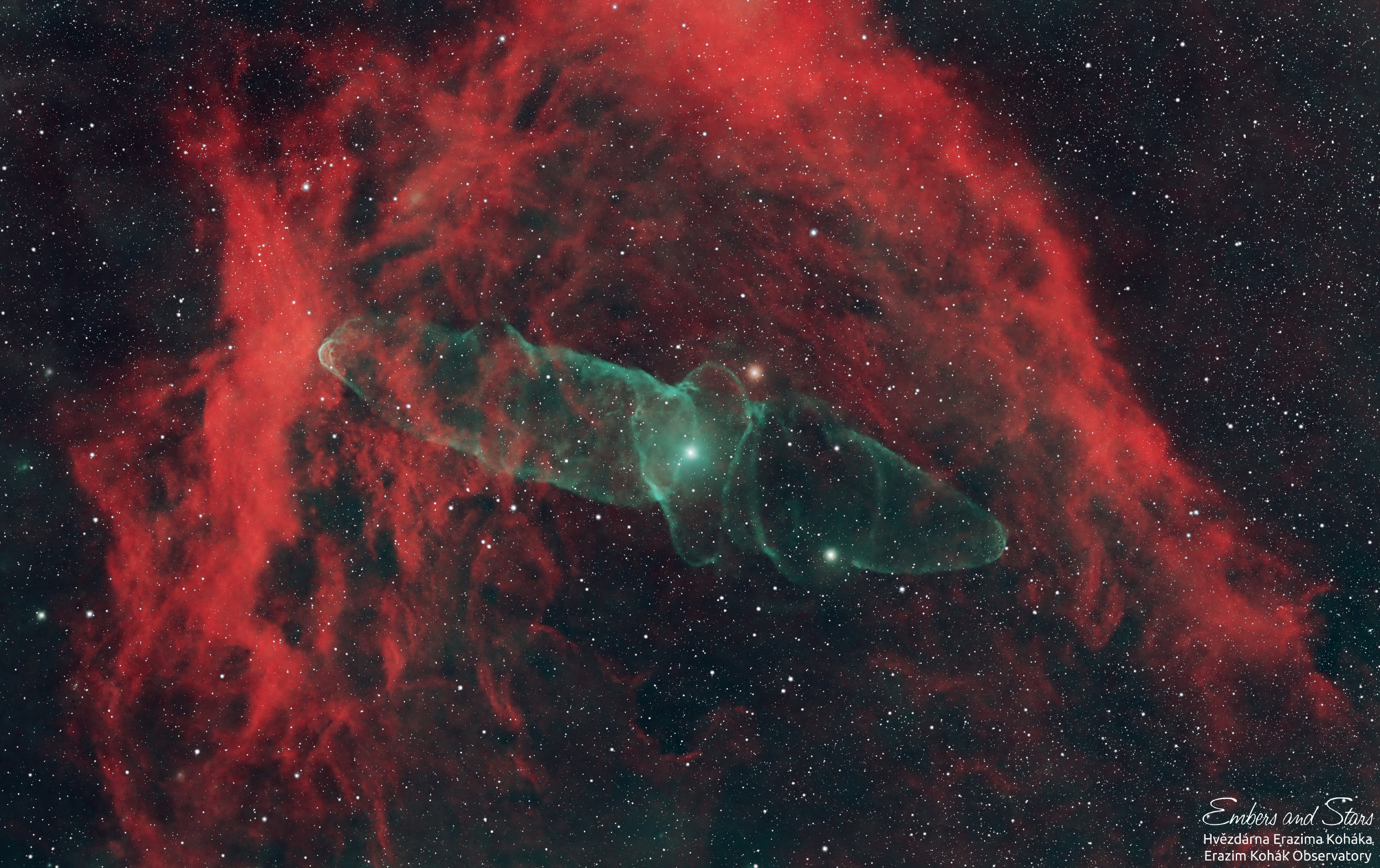 Flying Bat and Squid