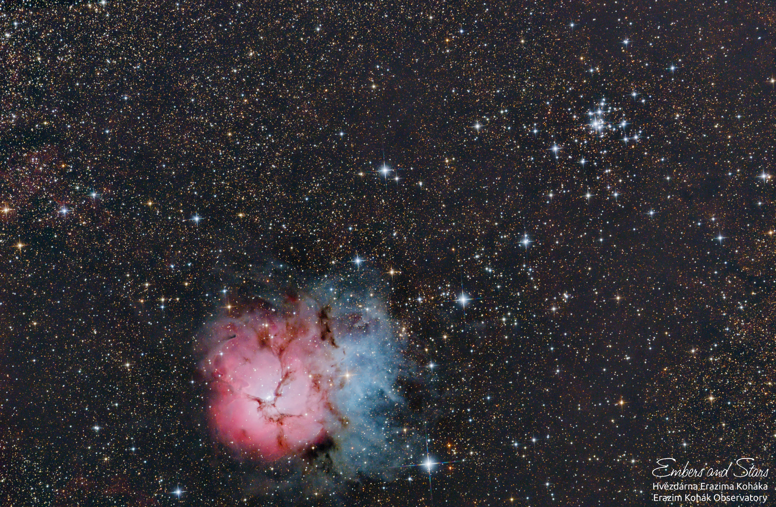 Trifid