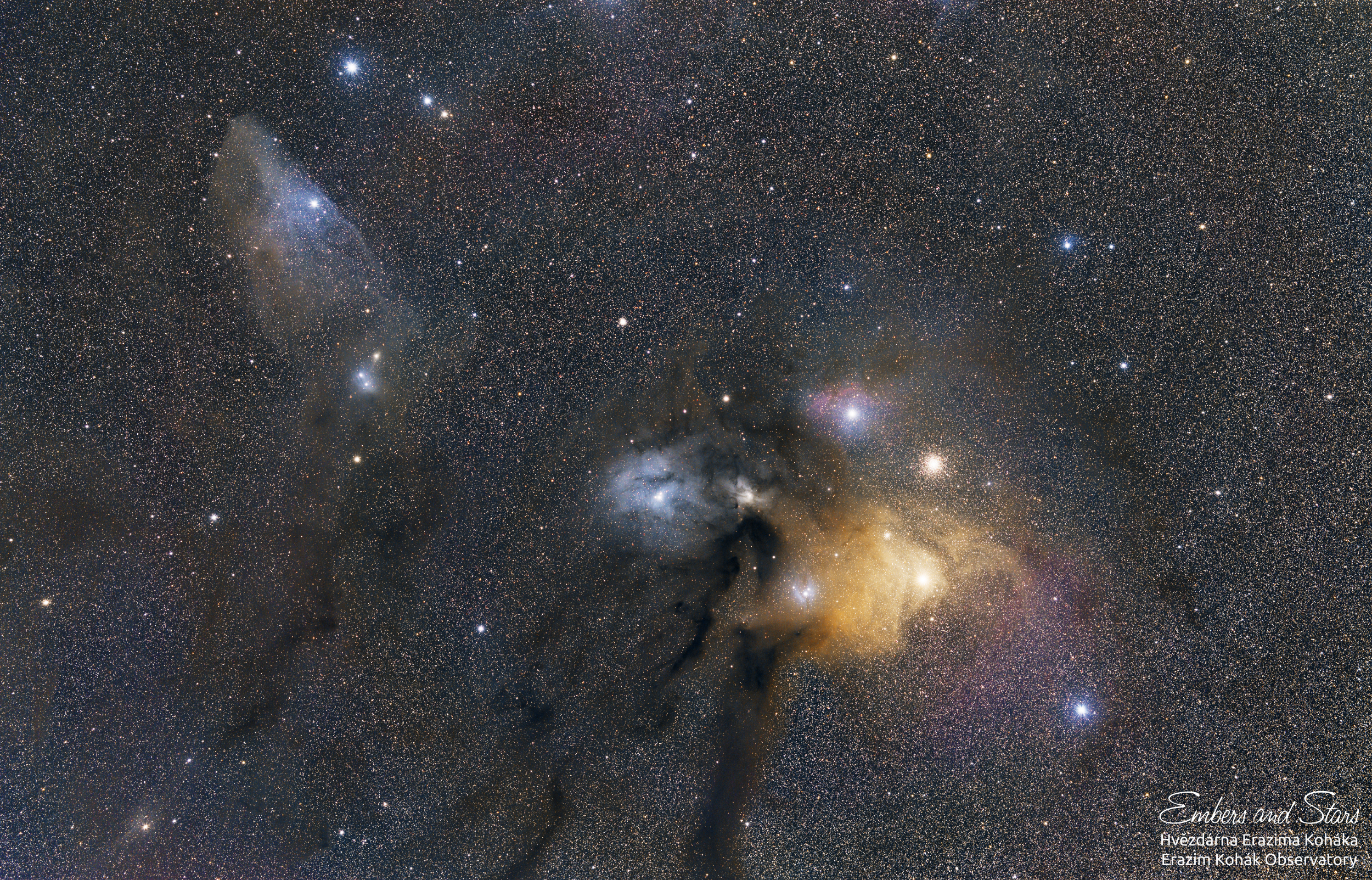 Rho Ophiuchi