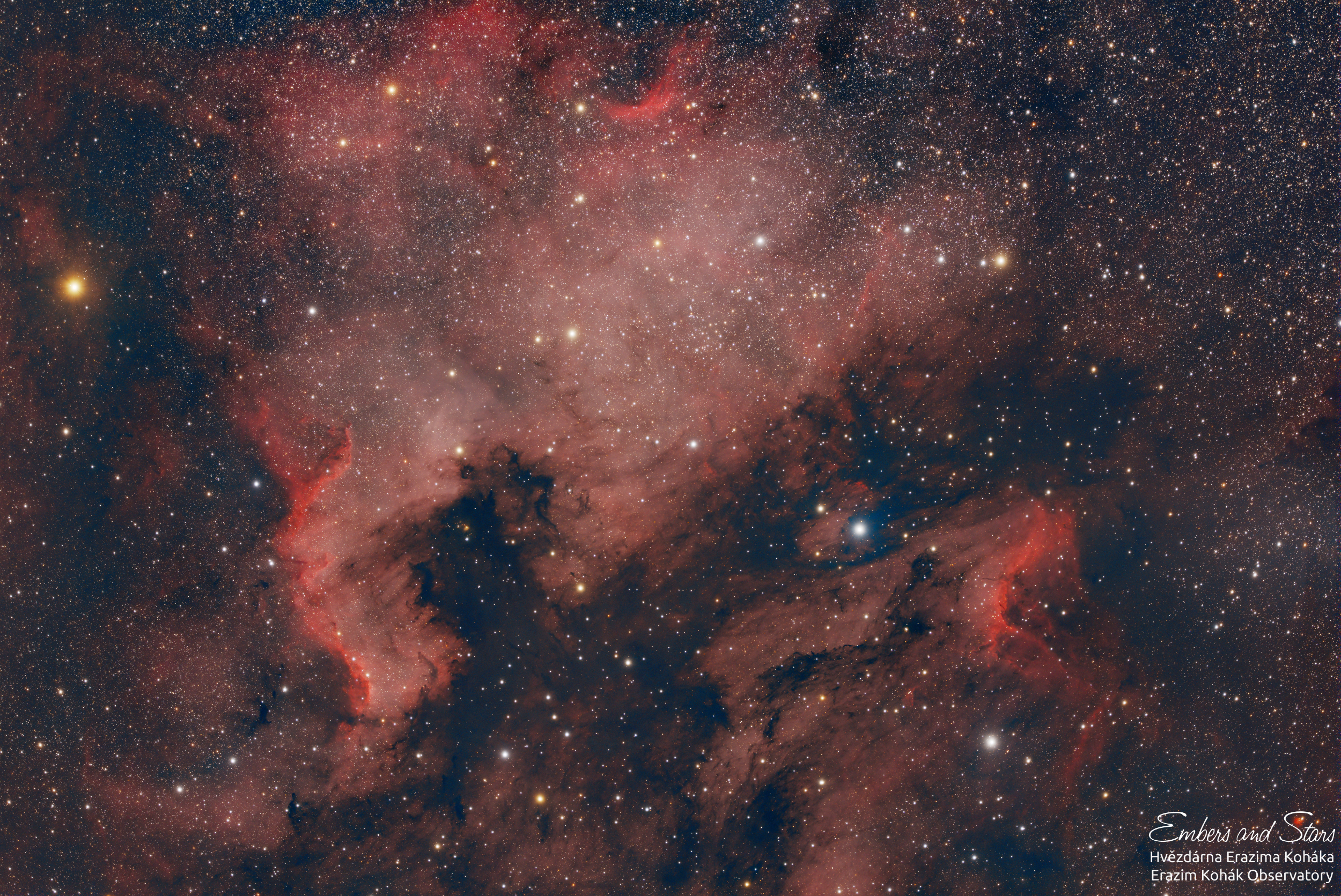 North America and Pelican